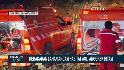 Kebakaran Cagar Alam Kresik Luway Ancam Habitat Asli Anggrek Hitam