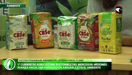 Download Video: 1° Cumbre de Agricultura Sostenible del Mercosur destacan la iniciativa de Misiones para avanzar hacia una producción amigable con el ambiente