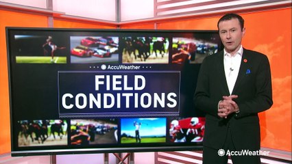 Combining baseball and urban gardening at Fenway Park