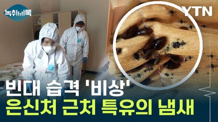 국내 빈대 습격 '비상'... 특유의 냄새도 남긴다? [Y녹취록] / YTN