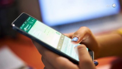 Hackean Whatsapp del gobierno del estado