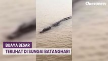 Krisis Air Bersih di Muarojambi, Warga Malah Diteror Buaya Besar di Sungai