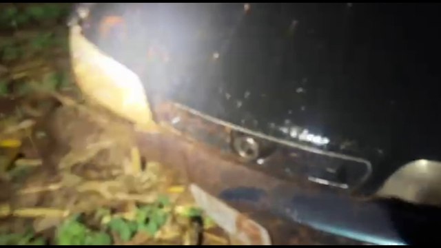 Denarc apreende 233 quilos de maconha e 20kg de capulho após perseguição na BR-469