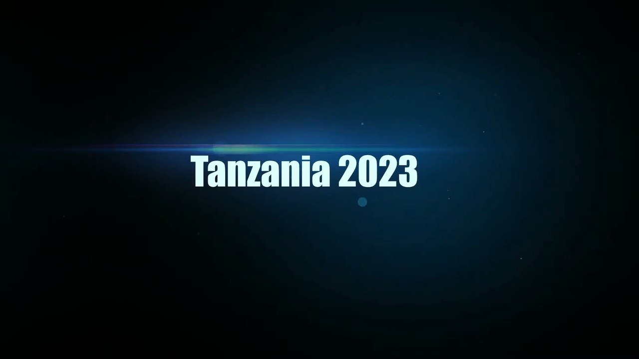 Wildlife Tanzania Animal lfe