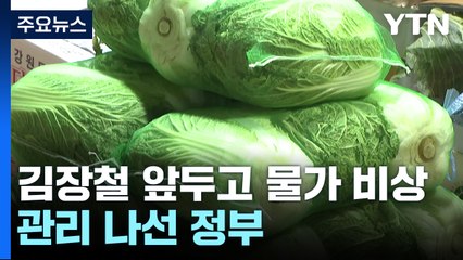 [취재N팩트] 김장철 앞두고 물가 비상...물가 관리 나선 정부 / YTN