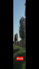 Managing Risk with Diversification Don’t Put All Your Eggs in One Basket