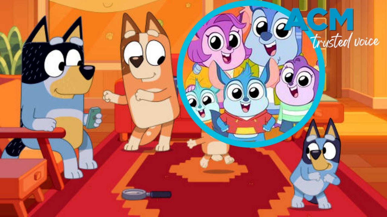 US children's show accused of being a 'bootleg Bluey'