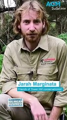Young conservationist makes extinction-saving contribution to wildlife