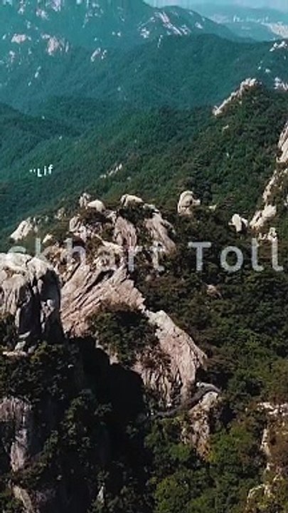 The Power of Resilience: Overcoming Life's Challenges