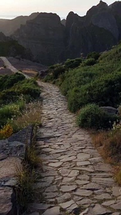 Rise and Shine: A Guide to Living Your Best Life