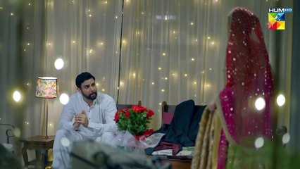 Haqeeqat Jan Gaya Tum Se Shadi Nahi Karun Ga..! #amarkhan #noorhassan - Bus Hostess - FLO Digital