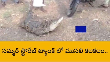 కర్నూలు జిల్లా: ఎట్టకేలకు చిక్కిన మొసలి... ఊపిరి పీల్చుకున్న స్థానికులు