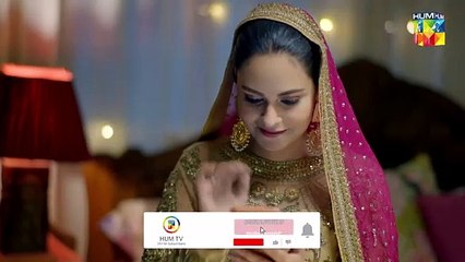 Larki Ki Asliyat Samne Aa Gayi...!! Kitni Girhain Baqi Hain - Bus Hostess - FLO Digital