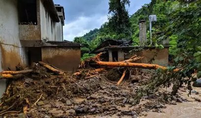 Doğu Karadeniz'de 'heyelan' tehlikesi: Önümüzdeki dönemlerde artışlar olabilir