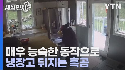 [세상만사] 가정집 냉장고 뒤져서 파스타 재료 훔치는 흑곰 / YTN