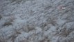 Ardahan'ın yüksek kesimlerinde kar yağışı ve sis etkili oldu