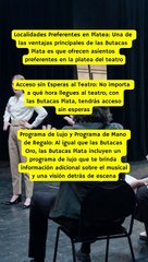  ¿Qué es la Butaca Plata de el Musical El Rey León Madrid? 