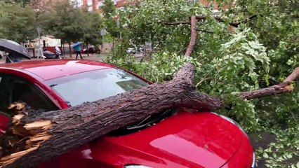 La borrasca Aline mantiene un día más en alerta al país, con la costa norte en nivel rojo