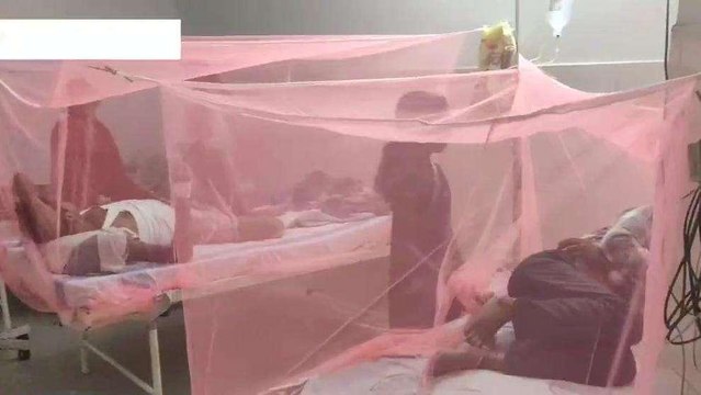 मधेपुरा में डेंगू का कहर: संक्रमित 5 मरीज ICU में भर्ती, सुनिए क्या बोले चिकित्सक