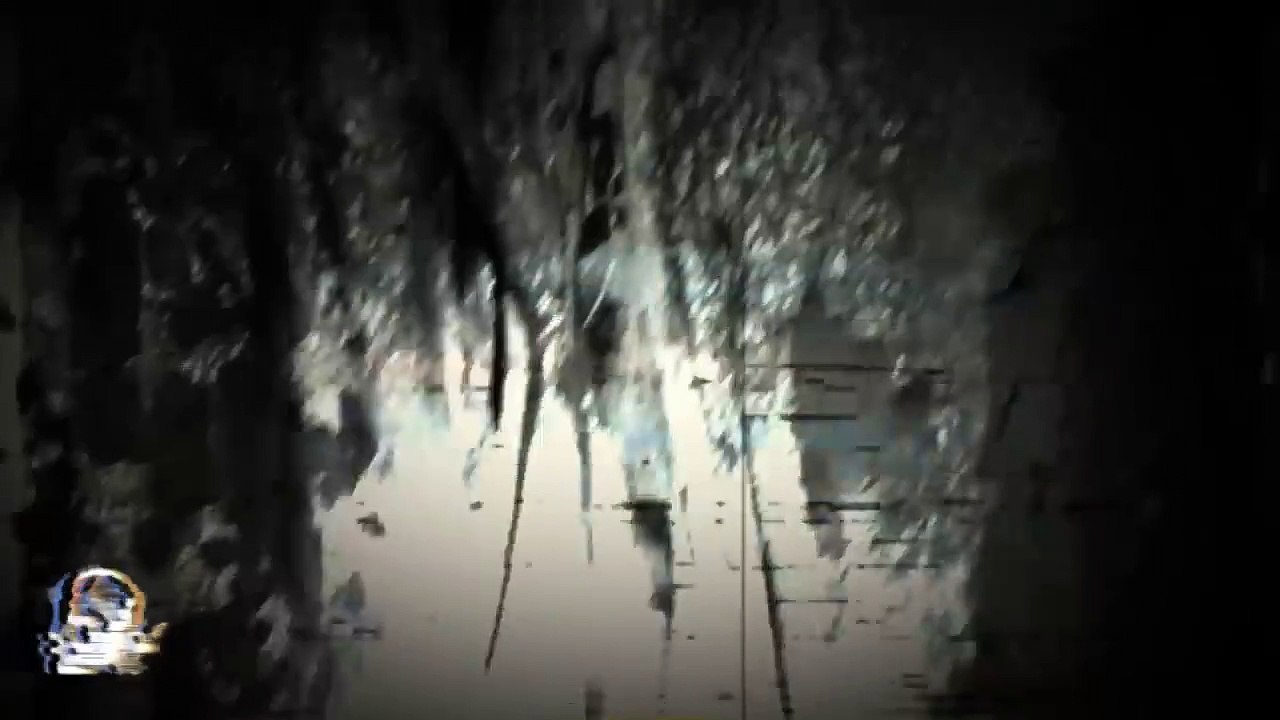 ALGO EXTRAÑO VIVE EN LAS CABAÑAS (Historias De Terror)