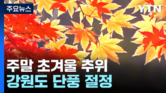 [날씨] 절정 이룬 강원도 단풍, 내륙도 확산...주말 초겨울 추위 / YTN