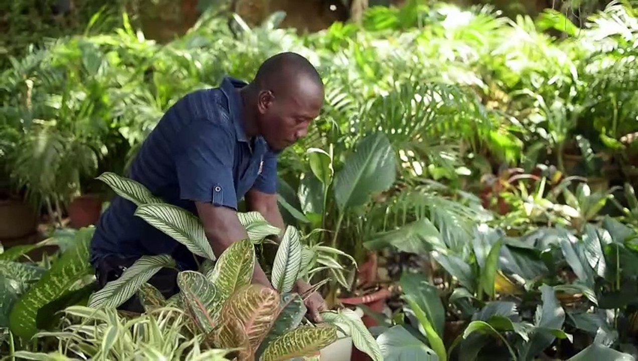 Avec passion, des jardiniers expliquent les merveilles des plantes qui occupent leur journée