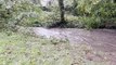 High river levels at Black Brook, West Vale as Storm Babet hits Calderdale