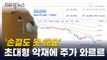 '국민주' 카카오의 몰락...주가 붕괴에 주주는 비명 [지금이뉴스] / YTN