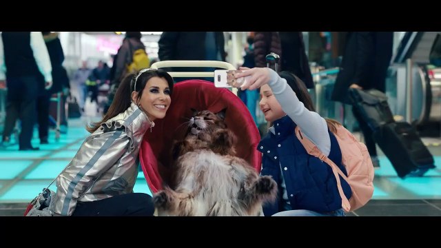 Chien et Chat Teaser VF