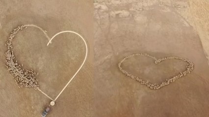 Sheep create HEART SHAPE in this amazing drone footage!