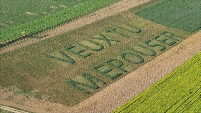 Nord : Qui est l’auteur du mystérieux message tracé dans un champ du Cambrésis ?