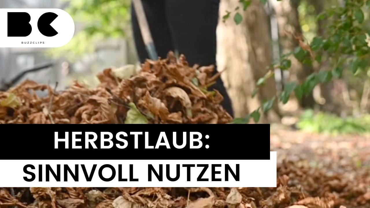 Herbstlaub: So verwendet man es sinnvoll