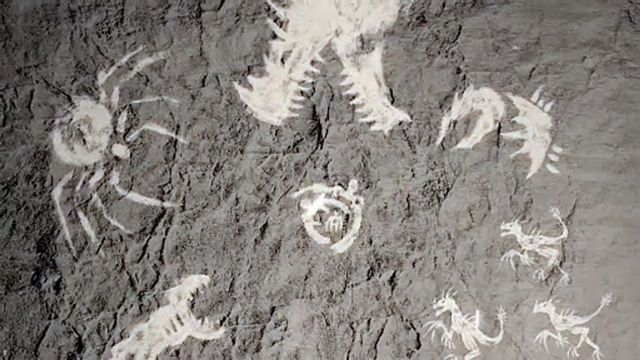 Das »schlechteste Spiel des Jahres?« Der neue King-Kong-Titel im Launch-Trailer