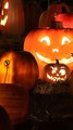 CAM - Halloween, Toussaint, Fête des morts : quelles sont les différences entre ces 3 fêtes ?