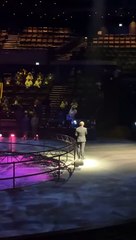 La Perle by Dragone - A Dazzling Dubai Spectacle