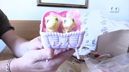 MY LITTLE PONY-UNBOXING PONY POST NEWBORN TWINS MILKWEED AND TUMBLEWEED