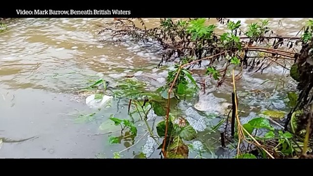 Video shows sewage being discharged into River Wharfe after heavy rains