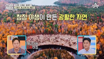 천 평이 관리가 되나요? 퀘백으로 선 넘은 패밀리가 떴다!