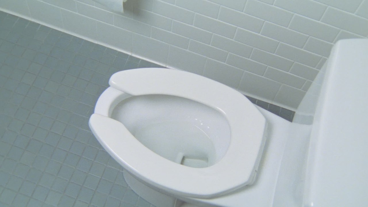 Here's why you should never flush your pet's poo down the toilet