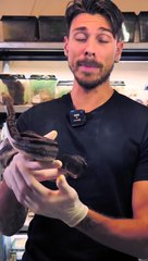 Les reptiles ont-ils du sang vraiment FROID ?!