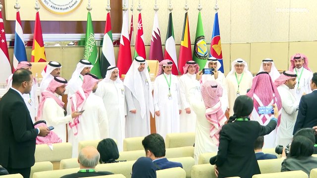 قمة الخليج و الآسيان تدعو لوقف دائم لإطلاق نار في غزة