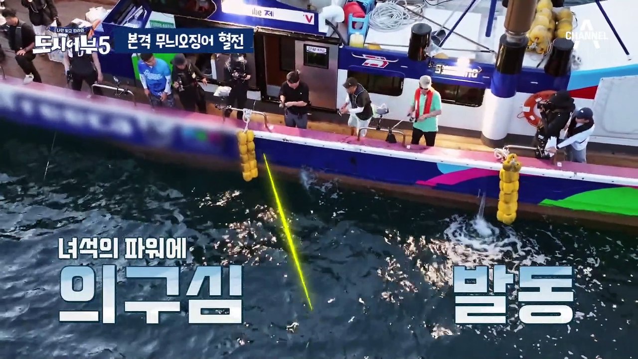 [#도시어부5] 무늬오징어 역대 기록 TOP1 자리를 차지할 ‘찐’ 두족류의 王은?...