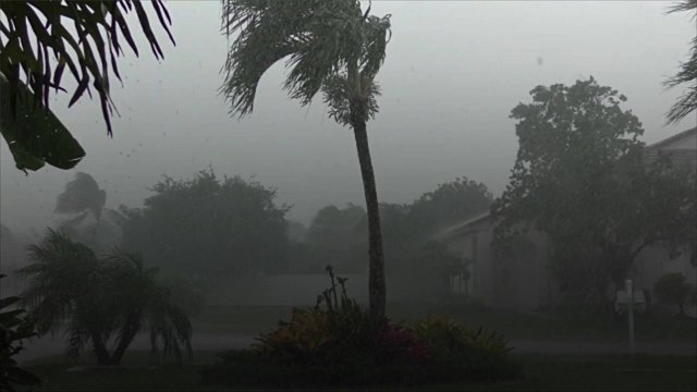 Scientists Warn Warming Oceans Are Responsible for More Intense Hurricanes