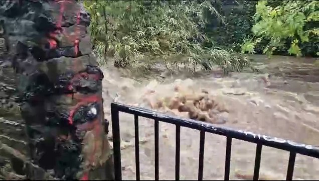 River Sheaf bursts its banks during Storm Babet