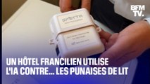 TANGUY DE BFM - Un hôtel francilien se dote de boîtiers équipés de l'intelligence artificielle pour en finir avec les punaises de lit