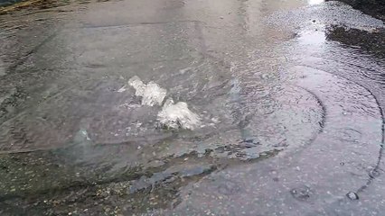Water Bubbling on Dear Street 🚰