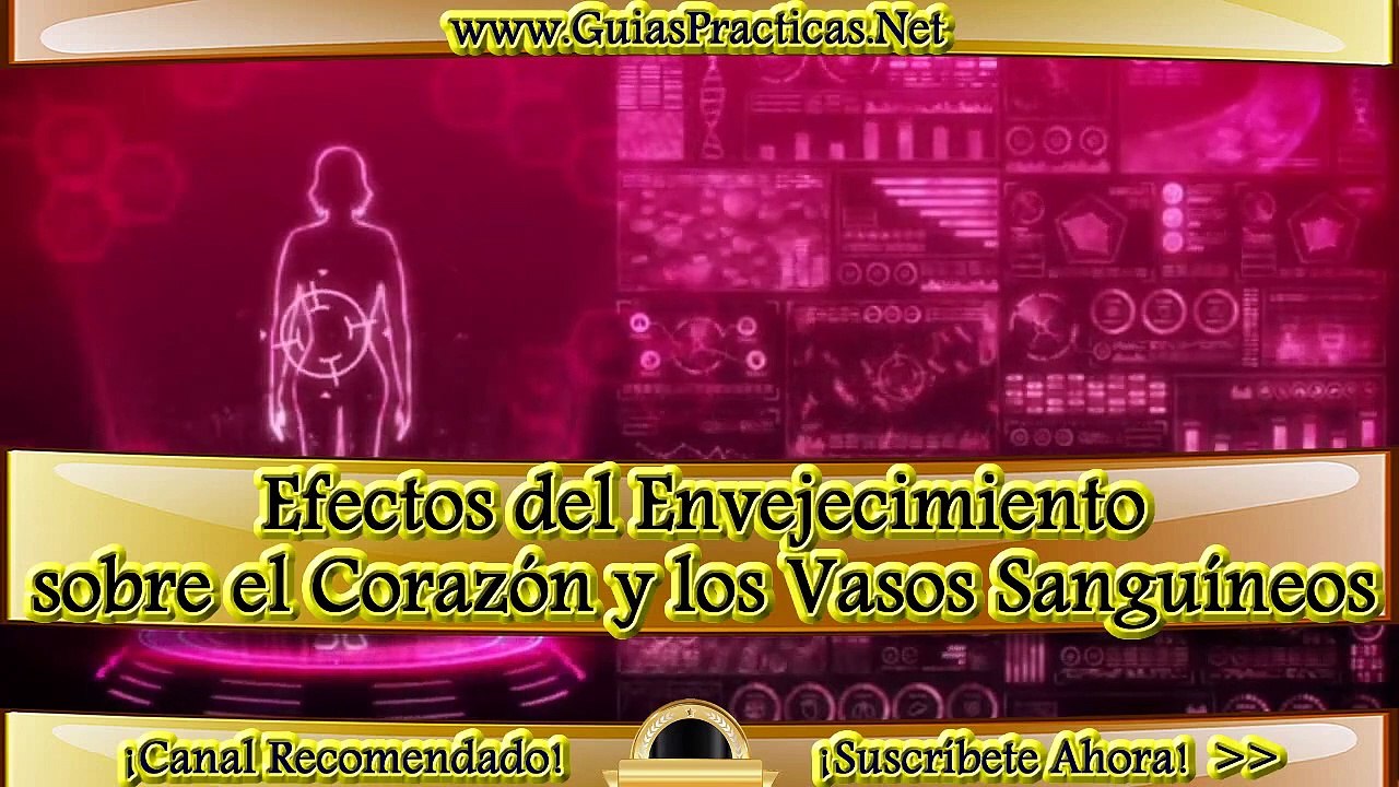 Efectos del envejecimiento sobre el corazón y los vasos sanguíneos