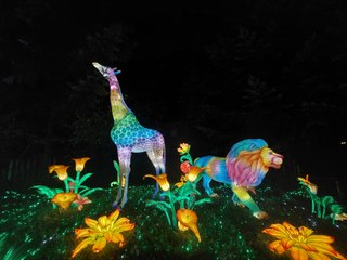 Le festival Luminescences revient au zoo d'Amnéville
