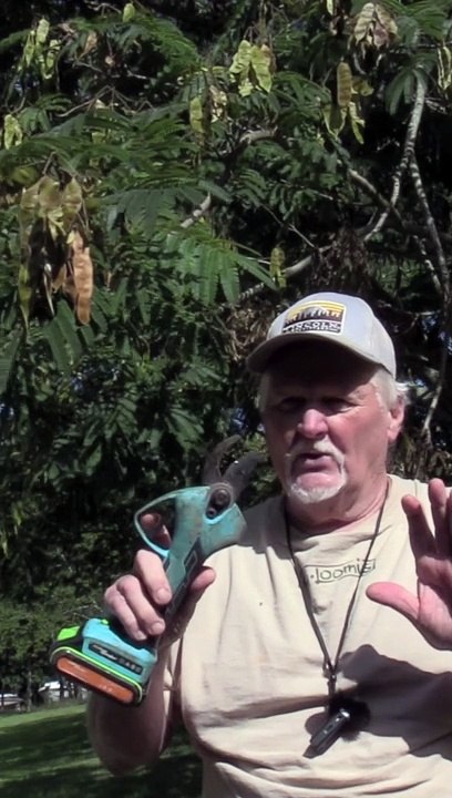 Trim Up The Yard with this Tool