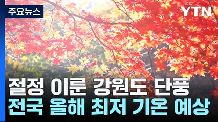 절정 이룬 강원도 단풍, 내륙도 확산...주말 초겨울 추위 / YTN